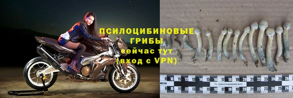 ГАЛЛЮЦИНОГЕННЫЕ ГРИБЫ Алексин